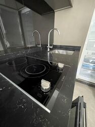 Park Colonial (D13), Condominium #597518801